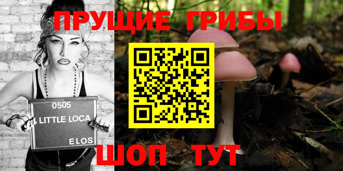 Галлюциногенные грибы мицелий Ефремов