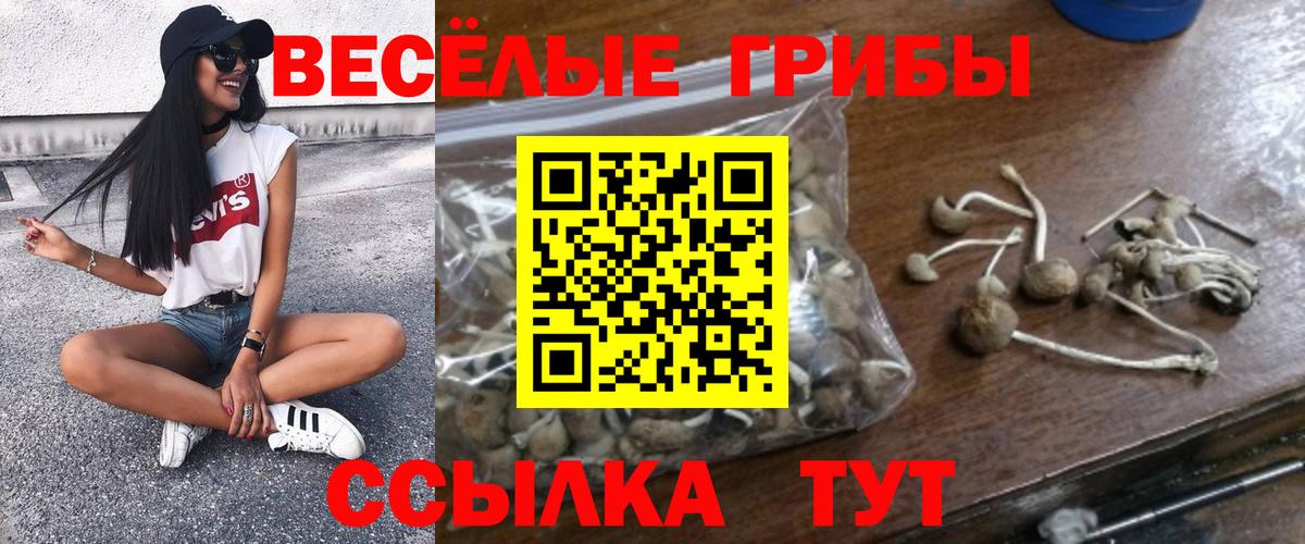 Галлюциногенные грибы MAGIC MUSHROOMS  Вход с VPN  Ефремов 