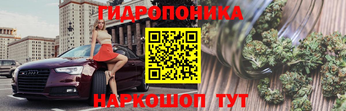 Бошки Шишки индика Ефремов